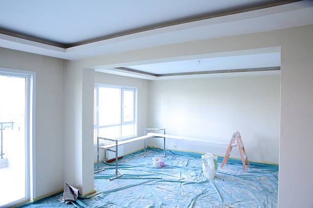 Best Drywall Removal and Disposal  in Lindsborg, KS